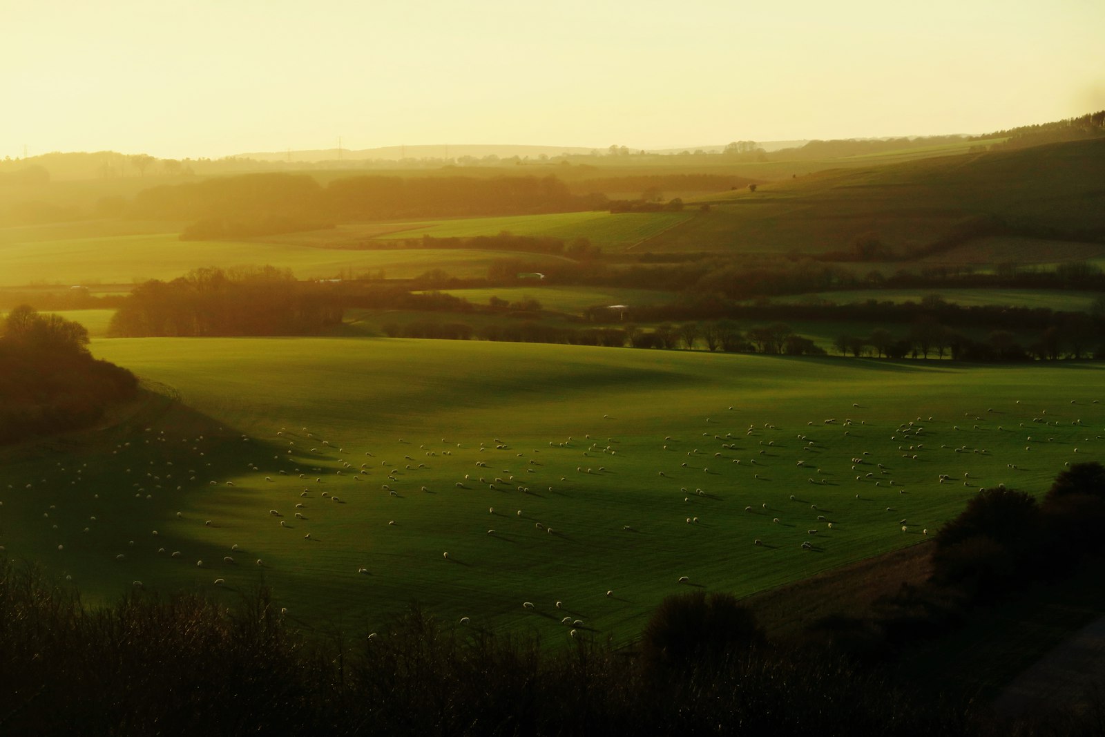 Rolling downland countryside in Kent